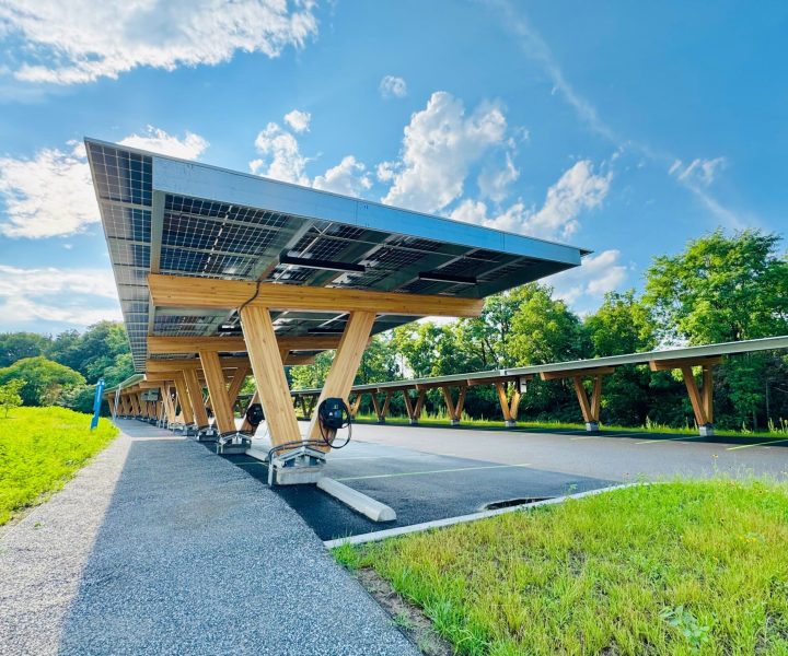 Solar Canopies (Image: Riley Johndonnell)